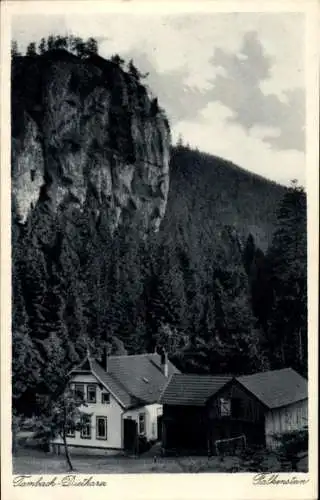 Ak Tambach Dietharz im Thüringer Wald, Falkenstein, Haus