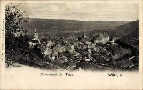 Ak Wiltz Luxemburg, Panorama