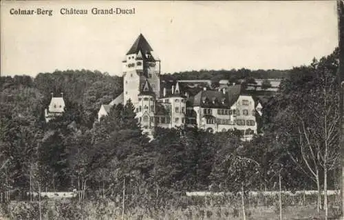 Ak Colmar Berg Luxemburg, Schloss Großherzoglich