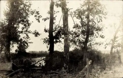 Foto Ak Ort in Osteuropa, Zerstörungen, Ruine, Bäume, I. WK