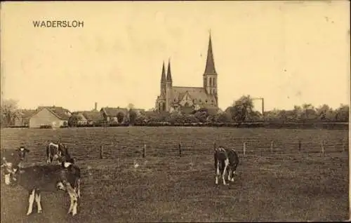 Ak Wadersloh in Westfalen, Kirche, Kühe