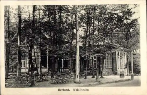 Ak Herford in Westfalen, Waldfrieden