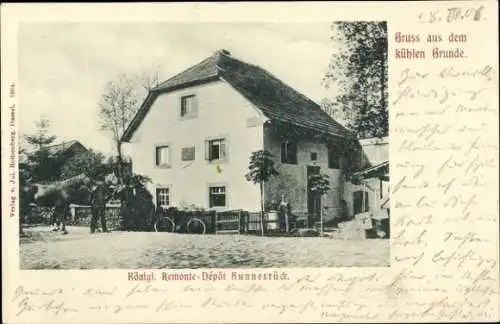 Ak Hunnesrück Dassel in Niedersachsen, Kgl. Remonte Depot, Kühler Grund