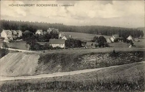 Ak Bockswiese Goslar im Harz, Gesamtansicht