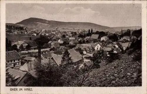 Ak Oker Goslar am Harz, Panorama, Hotel Romkerhalle, Villa Helene