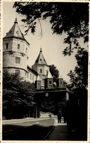 Ak Schleusingen in Thüringen, Schloss, Wappen