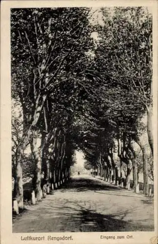 Ak Rengsdorf im Westerwald, Ortseingang, Bäume, Allee