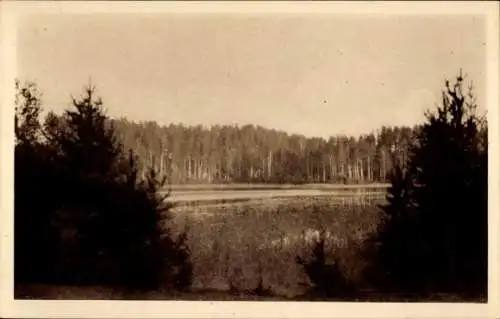 Ak Punkaharju Finnland, Gewässer, Wald