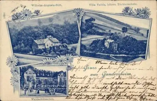 Ak Bad Gandersheim Harz, Wilhelm-Augusta-Stift, Höhere Töchterschule Villa Valida,Waldschlösschen