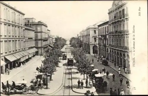 Ak Tunis, Tunesien, Avenue de la Marine