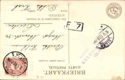 Ak Getigerte Katze, Tierportrait