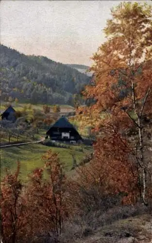 Ak Hornberg im Schwarzwald, Panorama, Herbststimmung