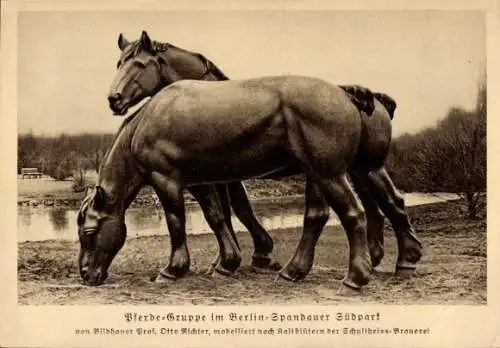 Ak Berlin Spandau, Südpark, Pferdegruppe v. Bildhauer Otto Richter, Kaltblüter, Schultheiss Brauerei