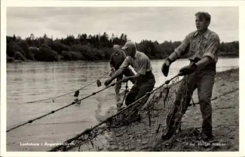 Ak Schweden, Angermanälven, Laxfiskare