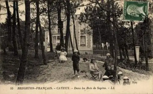 Ak Brighton Francais Cayeux Somme, Dans les Bois de Sapins