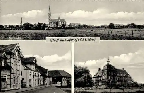 Ak Herzfeld Lippetal in Westfalen, Teilansicht, Dorfstraße, Schloss