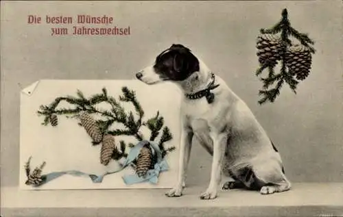 Ak Glückwunsch Neujahr, Hund, Tannenzweige, Tannenzapfen