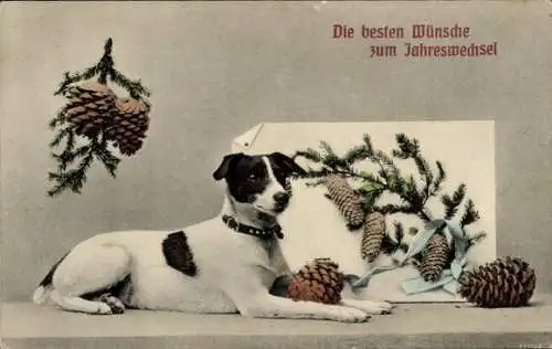 Ak Glückwunsch Neujahr, Hund, Tannenzweige, Tannenzapfen