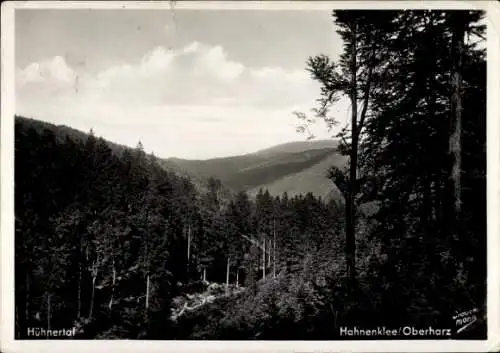 Ak Hahnenklee Bockswiese Goslar im Harz, Hühnertal