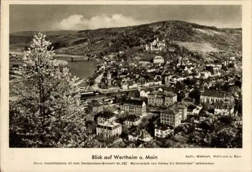 Ak Wertheim am Main, Panorama