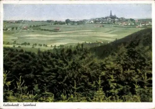 Ak Callenhardt Kallenhardt Rüthen in Westfalen, Panorama