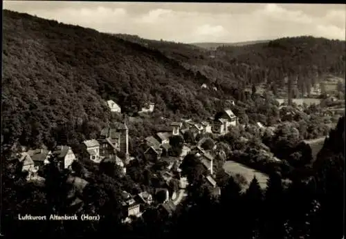 Ak Altenbrak Thale im Harz, Totalansicht