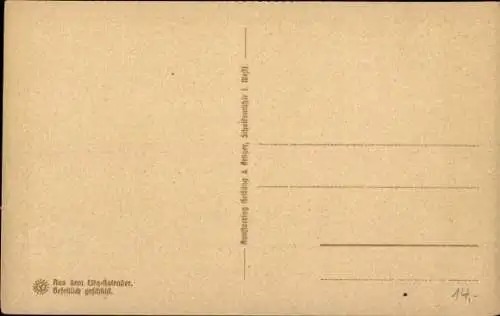Steindruck Ak Limburg an der Lahn Hessen, Dom mit Schloss
