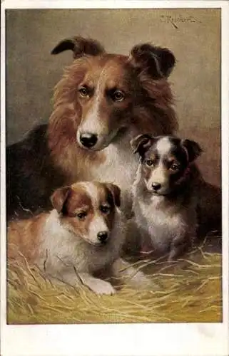 Künstler Ak Reichert, Carl, Collie mit Welpen