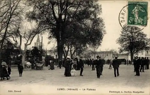 Ak Lunel Hérault, Plateau