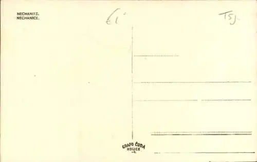 Ak Nechanice Nechanitz Region Königgrätz, Teilansichten