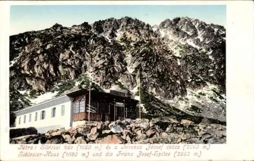 Ak Staré Město pod Sněžníkem Mährisch Altstadt Region Olmütz, Schlesierhaus, Franz Josef Spitze