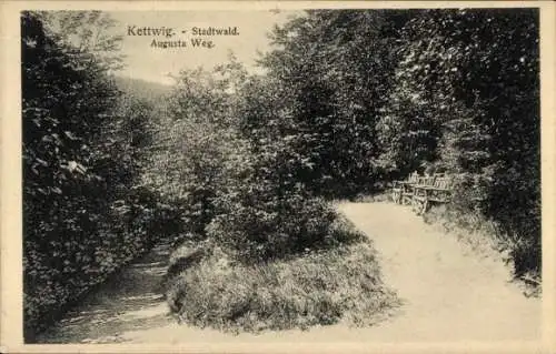 Ak Kettwig Essen im Ruhrgebiet, Stadtwald, Augustaweg