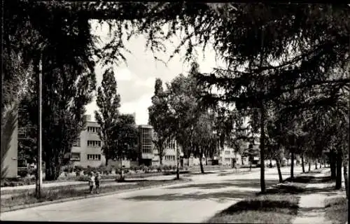 Ak Rathenow im Havelland, Friedrich-Ebert-Ring