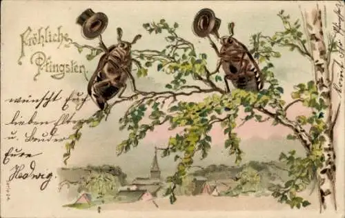 Litho Glückwunsch Pfingsten, Maikäfer am Baum, Birke, Hüte