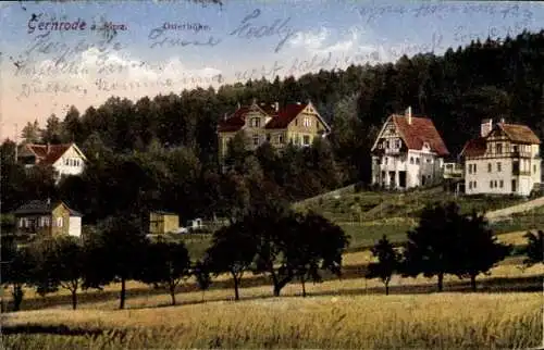 Ak Gernrode Quedlinburg im Harz, Häuser an der Osterhöhe