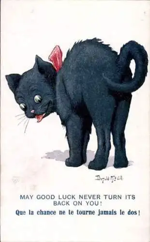 Künstler Ak McGill, Schwarze Katze, Rote Schleife