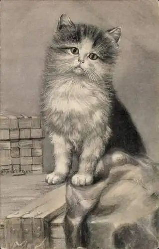 Künstler Litho Kleine Katze, Tierporträt, Kätzchen