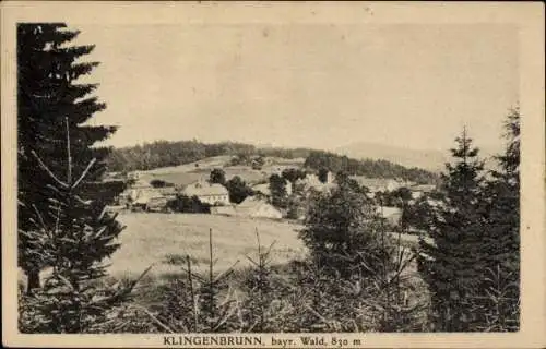 Ak Klingenbrunn Spiegelau im Bayerischen Wald Niederbayern, Panorama