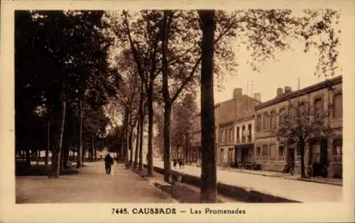 Ak Caussade Tarn et Garonne, Les Promenades