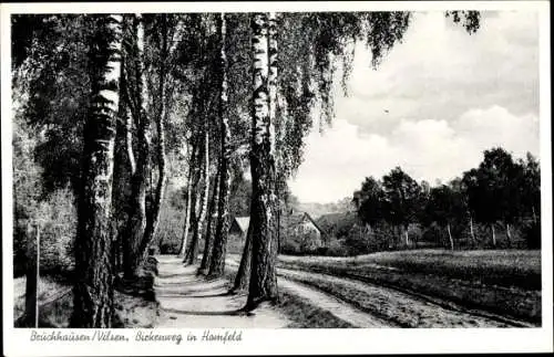 Ak Homfeld Bruchhausen Vilsen Niedersachsen, Birkenweg