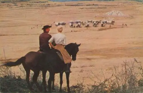 Sammelbild Karl May, Filmszene, Winnetou III, Unter Geiern, Annie, Martin, Nr. 214