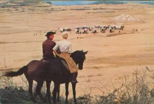 Sammelbild Karl May, Filmszene, Winnetou III, Unter Geiern, Annie, Martin, Nr. 214