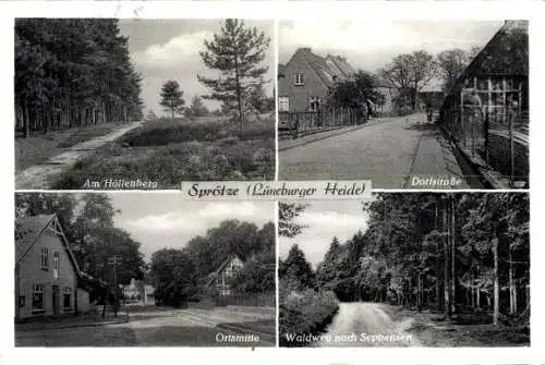 Ak Sprötze Buchholz in der Nordheide, Höllenberg, Dorfstraße, Ortsmitte, Waldweg