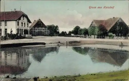 Ak Hoisdorf in Schleswig Holstein, Teilansicht, Teich