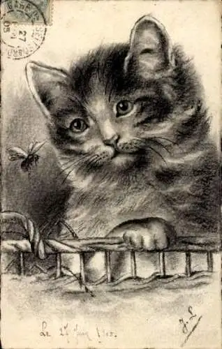 Künstler Litho Katze, Biene, Tierporträt