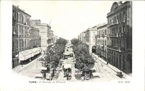 Ak Tunis Tunesien, L'Avenue de France