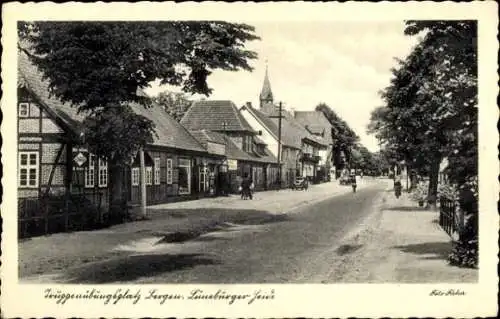 Ak Bergen in der Lüneburger Heide, Truppenübungsplatz, Straßenpartie