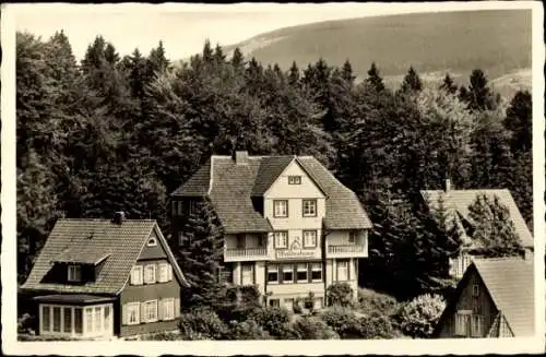 Ak Braunlage im Oberharz, Haus Klavehn, Am Waldeshang