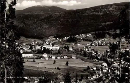 Ak Bodenmais in Niederbayern, Panorama