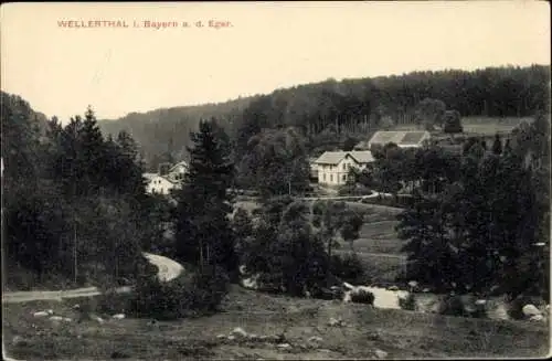 Ak Wellerthal Selb im Fichtelgebirge Oberfranken, Teilansicht, Eger